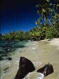 Water Surging onto a Palm Tree-Lined Beach Photographic Print by Tim Laman