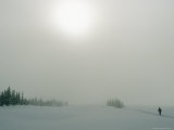 Lone Skier in a Snow Covered Landscape under Fog-Obscured Sun Photographie