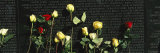 Roses are Left at the Vietnam Veterans Memorial Photographic Print by Richard Nowitz
