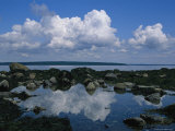A Tidal Pool Reflects the Stark Beauty of Maines Rocky Coast Photographic Print by Stephen St. John