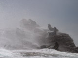 Storm Waves Crash over California Sea Lions Photographic Print