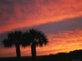 The Silhouette of a Pair of Palm Trees at Sunset Photographic Print by Klaus Nigge