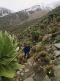 Woman Hiking up the Rocky Side of Mount Kenya Photographie