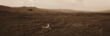 Cheetah Resting on the Plains of Masai Mara National Reserve Photographic Print