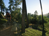 Young Woman Mountain Biking on the Centennial Trail Photographic Print by Bobby Model