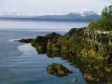 Algae-Covered Rocks, Snow-Covered Mountains Around Prince Willam Sound Photographic Print by Kate Thompson