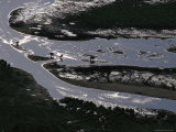 riverbank