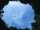 Caver Enters Golondrinas, San Luis Potossi State Photographic Print