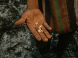 Farmer Holds Kernels of Corn Lámina fotográfica