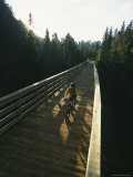 A Cyclist on the Mickelson Trail Bridge which Runs Through the Heart of the Black Hills Photographie