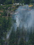 A Firefighting Helicopter Douses a Forest Fire Threatening Homes Lámina fotográfica A Firefighting Helicopter Douses a Forest Fire Threatening Homes Lámina fotográfica