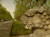 Carved Stone Creatures, Mythical and Real, Along the Sacred Way Photographic Print