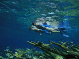 A Couple Swimming Hand-N-Hand Over a Reef with Fish Photographic Print by Nick Caloyianis