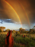A Double Rainbow Over an Australian Grassland with Termite Mounds Photographic Print by Randy Olson