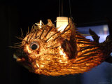 A Lantern Made from a Puffer Fish is Sold at a Flea Market Photographic Print