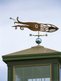 A Squid-Shaped Weather Vane Atop a Cupola Photographic Print by Darlyne A. Murawski