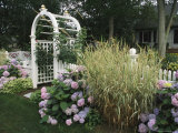 Arbored Entryway with Ornamental Grasses and Blooming Hydrangeas Photographic Print