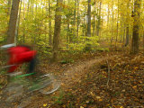 A Mountain Biker Rides Through a Forest in the Fall Photographic Print