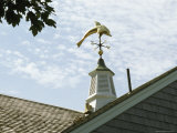 A Dolphin Weather Vane Atop a Cupola Photographic Print by Darlyne A. Murawski