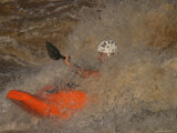 Kayaker Engulfed by Flood-Level Whitewater Photographic Print