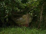 Overgrown Fishing Boat Abandoned in the Seaside Woods Photographic Print by Stephen St. John