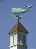 A Sperm Whale Weather Vane on a Roof Top Photographic Print by Darlyne A. Murawski