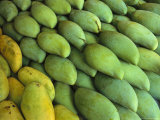 Mangoes Sold at a Market Lámina fotográfica por Todd Gipstein Mangoes Sold at a Market Lámina fotográfica por Todd Gipstein