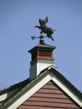 A Flying Pig Weather Vane Atop a Cupola Photographic Print by Darlyne A. Murawski