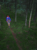 Mountain Biking Through Dark Woods Photographic Print by Skip Brown