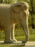 Carved Stone Elephant Along the Sacred Way Photographic Print