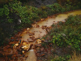 A Stream into Sydney Tar Ponds, Polluted by Coke and Steel Plants Photographic Print