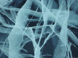 Close View of Ribbon-Like Fracture Patterns in Thick Ice Photographic Print