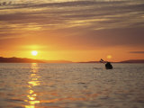 Kayaking at Sunset on Hudson Strait Photographic Print
