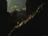 A Small Tree Sits on Top of Rocks at Bingin Beach, a Popular Backpacker Hang Out in Southern Bali Photographic Print