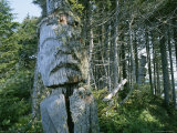 Two Old Totem Poles in the Forest Photographic Print by John Dunn/Arctic Light