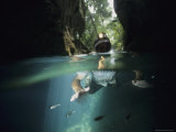 An Archeologist Swims Via an Entrance into the Mayan Underworld Photographic Print