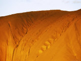 The Setting Sun Casts a Golden Glow on an Uluru Rock Formation Photographic Print