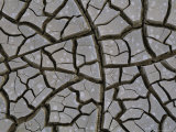 Mud Cracks Form When Streams or Lakes Dry up During Droughts Photographic Print by Carsten Peter