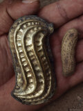A Gold Peanut from the Warrior-Priests Tomb Lámina fotográfica por Martha Cooper A Gold Peanut from the Warrior-Priests Tomb Lámina fotográfica por Martha Cooper