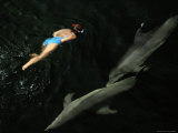 Diver Swims Next to a Pair of Dolphins in the Waters off the Florida Keys Photographic Print by Joel Sartore