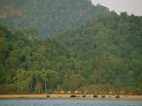Beached Kabangs with Temporary Houses in the Background Photographic Print by Nicolas Reynard