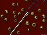 Hollow Gold Beads from the Warrior-Priests Tomb Lámina fotográfica por Bill Ballenberg Hollow Gold Beads from the Warrior-Priests Tomb Lámina fotográfica por Bill Ballenberg
