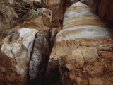 A Twine-Bound Bark Coffin of Aboriginal Origin Lies Beneath a Rock Overhang Photographic Print by Sam Abell