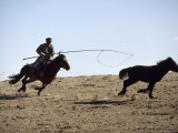 Herdsman Ropes a Wild Mongolian Horse with an Urga, Inner Mongolian Autonomous Region, China Photographic Print