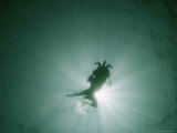 Underwater View of Swimmer and Turtle Silhouetted against the Sun Photographic Print by Nicolas Reynard