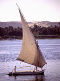 The Traditional Arched-Sail of a Felucca Guides It Down the Nile Lámina fotográfica The Traditional Arched-Sail of a Felucca Guides It Down the Nile Lámina fotográfica