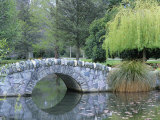 A Stone Bridge in Queenstown Gardens Photographic Print by Rich Reid
