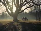 The Battlefield, Shiloh National Military Park, Tennessee Photographic Print by Sam Abell