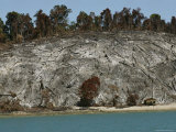 Moken Beach Hut Below a Tree-Bare Cliff Photographic Print by Nicolas Reynard