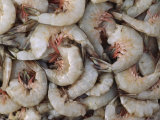 Close-Up of a Pile of Prawns, Karachi Port, Pakistan Lámina fotográfica
